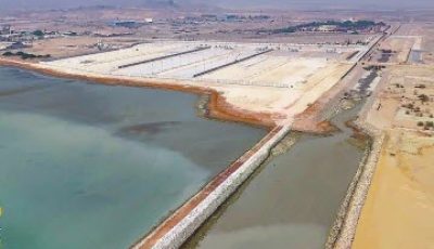 himc-news-video-report-1